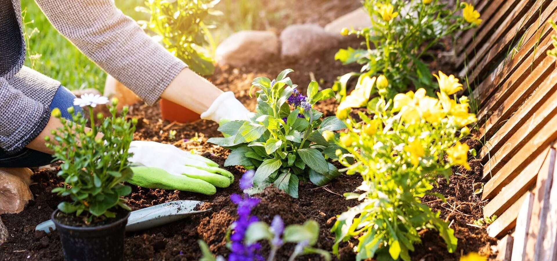 Garden Services in London