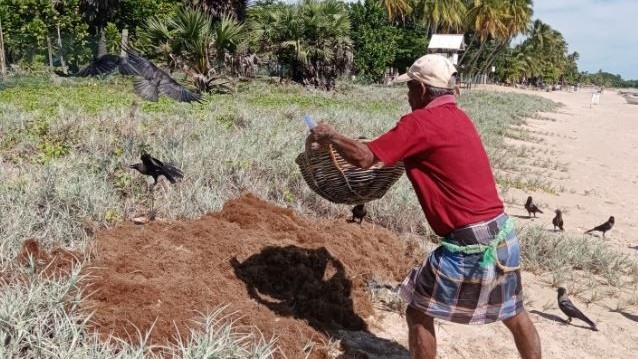 கடற்பாசியால் மீனவர் பாதிப்பு