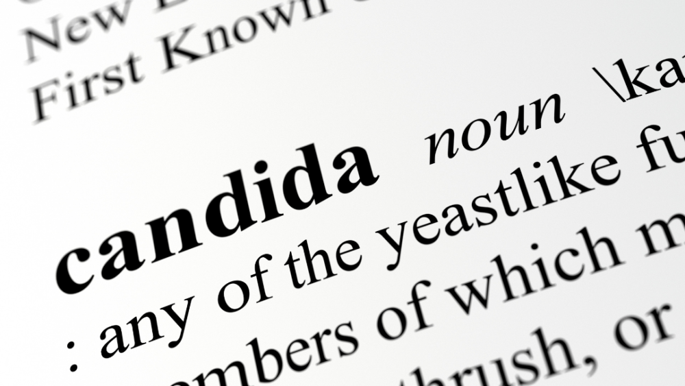  Candida Albicans Infection and its Role in Promoting Autoimmunity