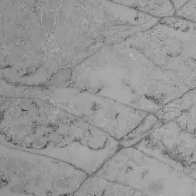 CRL Cristallo Platino