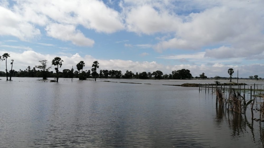 கனமழையால் வயல்கள் வெள்ளத்தில் மூழ்கின