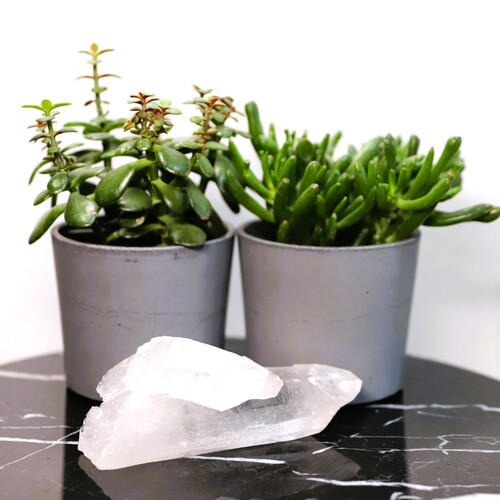 Lemurian Quartz Cluster