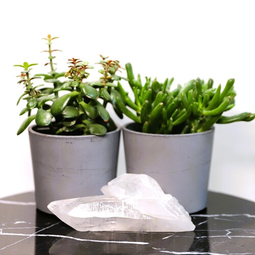 Lemurian Quartz Cluster