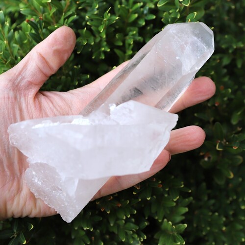 Lemurian Quartz Cluster