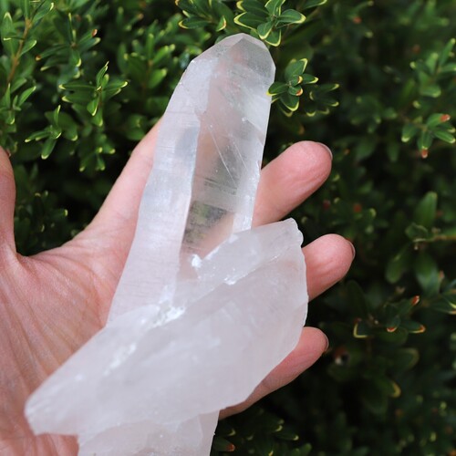 Lemurian Quartz Cluster