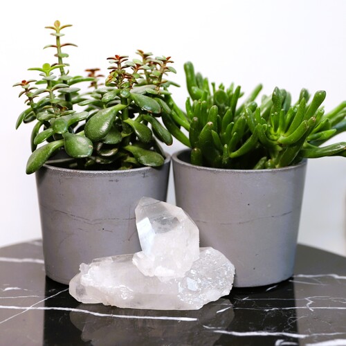 Lemurian Quartz Cluster