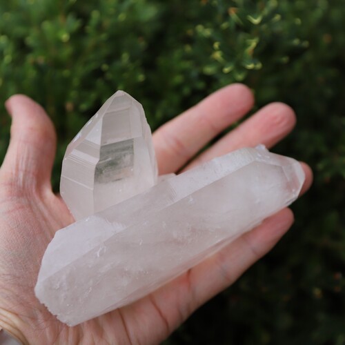 Lemurian Quartz Cluster