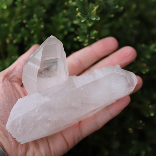 Lemurian Quartz Cluster