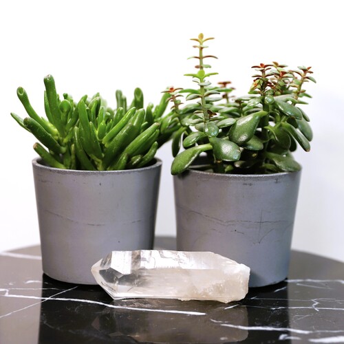 Lemurian Quartz Cluster