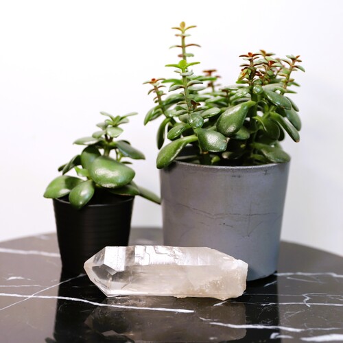 Lemurian Quartz Cluster