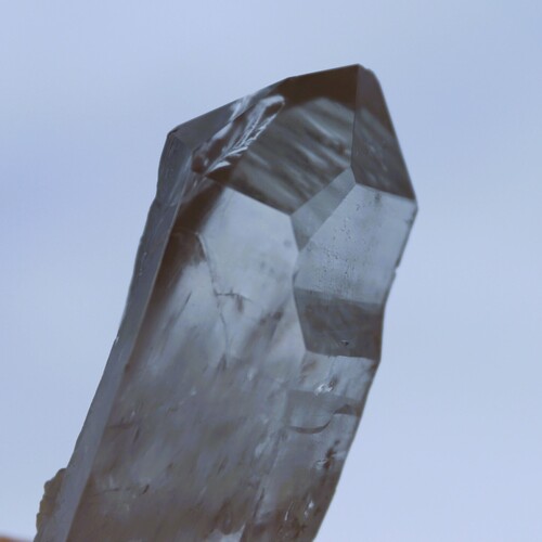 Lemurian Quartz Cluster