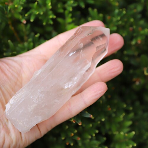 Lemurian Quartz Cluster