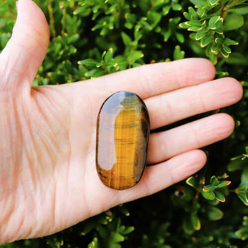 Tigers Eye Polished Palm Stone