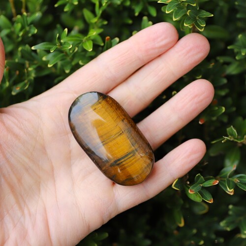 Tigers Eye Polished Palm Stone