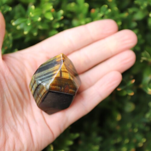 Tigers Eye Palm Stone Faceted sides.