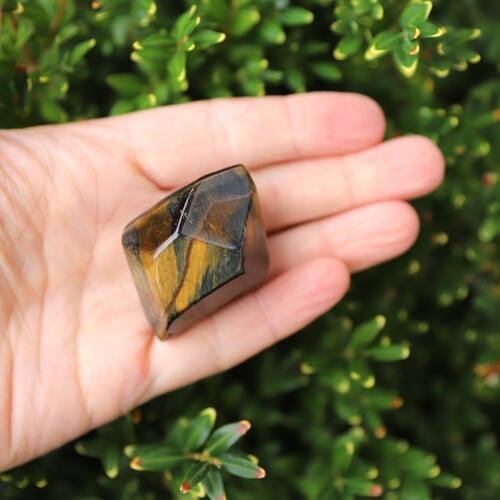 Tigers Eye Palm Stone Faceted sides.