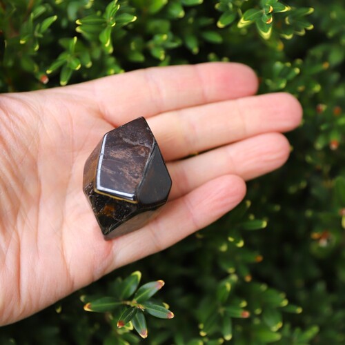 Tigers Eye Palm Stone Faceted sides.