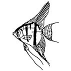 Angel Fish Rubber Stamp (Available in 3 sizes) from £6.89