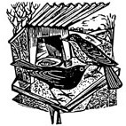 Birds Feeding Rubber Stamp (Available in 3 sizes) from £6.89