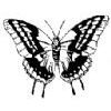 Butterfly Rubber Stamp (Available in 3 sizes) from £6.89