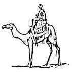 Camel Rubber Stamp (Available in 3 sizes) from £6.89