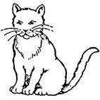 Cat (2) Rubber Stamp (Available in 3 sizes) from £6.89