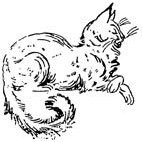 Cat Rubber Stamp (Available in 3 sizes) from £6.89
