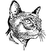 Cat's Face Rubber Stamp (Available in 3 sizes) from £6.89