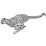 Cheetah Rubber Stamp (Available in 3 sizes) from £6.89