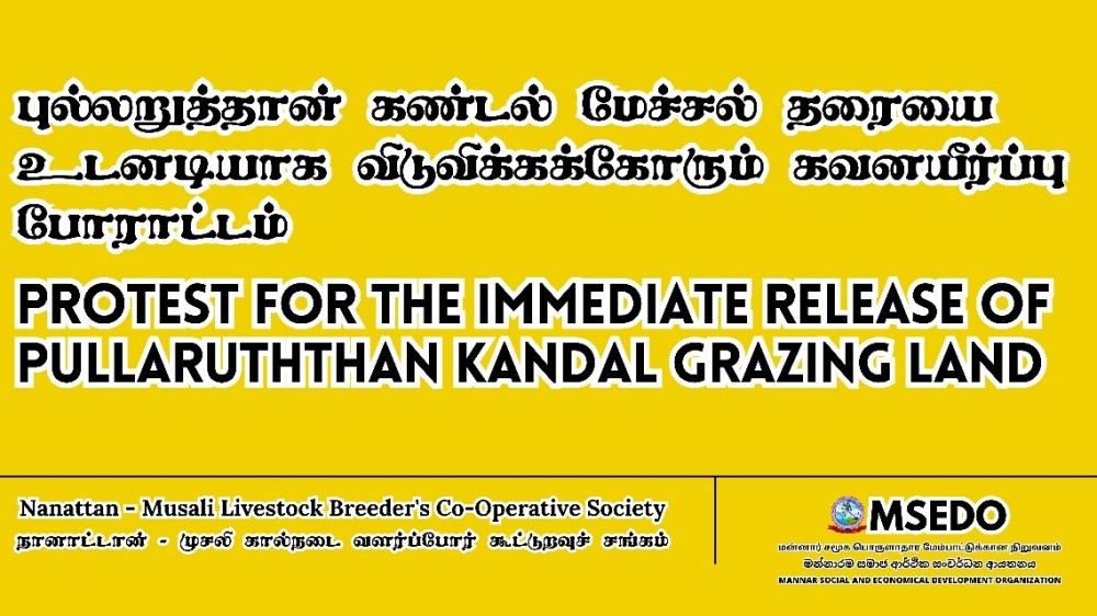 புல்லறுத்தான் கண்டல் மேச்சல் தரை காணியை விடுவிக்கக்கோரி கவனயீர்ப்பு போராட்டம் 