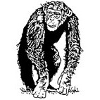 Chimp Rubber Stamp (Available in 3 sizes) from Â£6.89