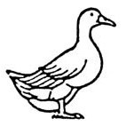 Duck [2] Rubber Stamp (Available in 3 sizes) from £6.62