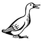 Duck Rubber Stamp (Available in 3 sizes) from £6.89