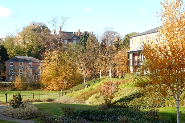 *DIG THIS NOVEMBER 2023 - FEBRUARY 2024*