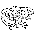 Frog Rubber Stamp (Available in 3 sizes) from £6.89