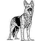 German Shepherd Rubber Stamp (Available in 3 sizes) from £6.89