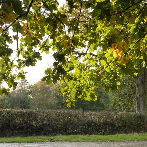 Overwhelmed or Lost Momentum in your Private Practice?