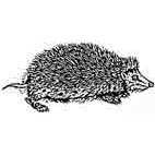 Hedgehog Rubber Stamp (Available in 3 sizes) from £6.89