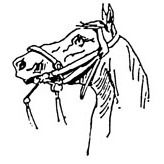 Horses Head Rubber Stamp (Available in 3 sizes) from £6.89