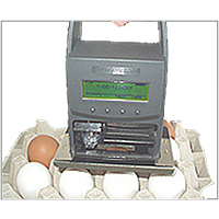 JetStamp 790e for Stamping Eggs
