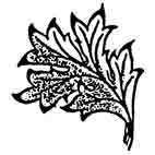 Leaf Rubber Stamp