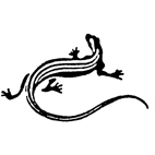 Miscellaneous creatures