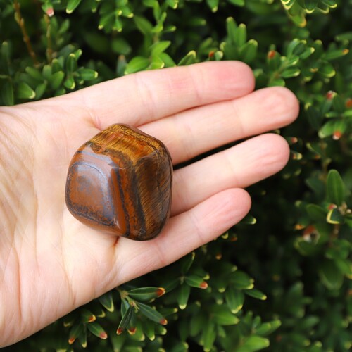 Tigers Eye Polished Palm Stone