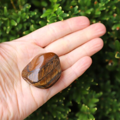 Tigers Eye Polished Palm Stone
