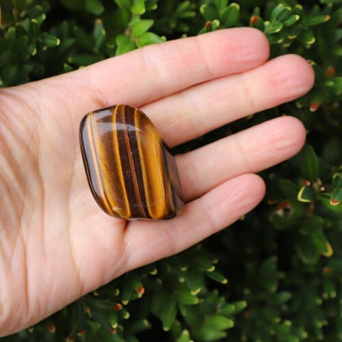 Tigers Eye Polished Palm Stone