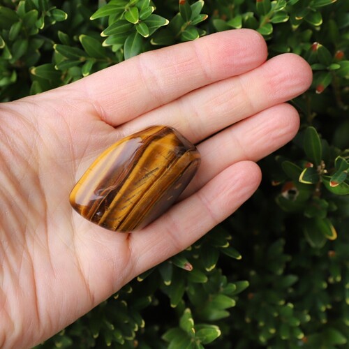 Tigers Eye Polished Palm Stone