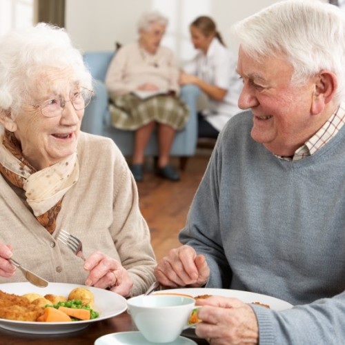 Understanding and Managing Appetite Decline in Seniors