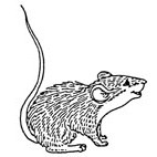 Mouse Rubber Stamp (Available in 3 sizes)