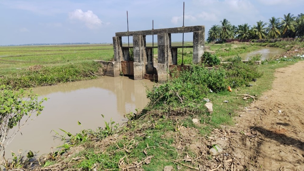 பெரும்போக விதைப்பில் விவசாயிகள் மும்முரம்