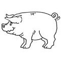 Pig Rubber Stamp